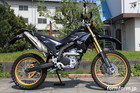 WR250 custom